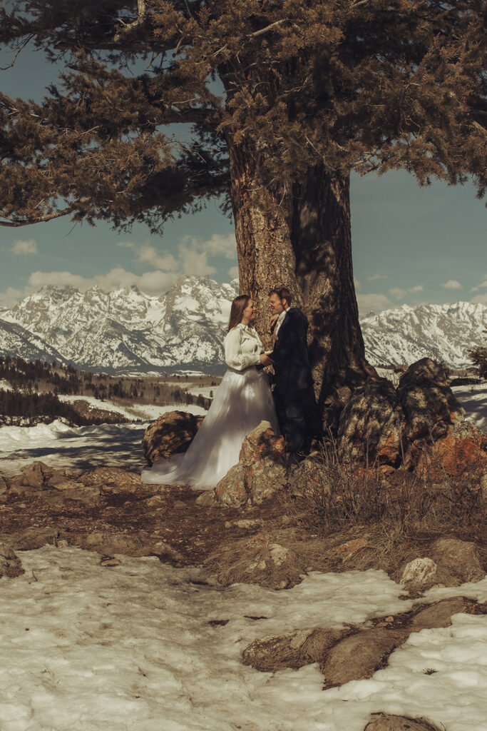 Nina + Trent Wedding Tree Elopement. Jackson Hole Wyoming Elopement Photographers. Elopement photography in Jackson Hole
