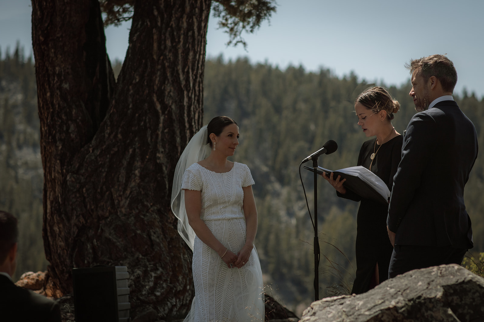 A wedding ceremony taking place outdoors, with a bride and groom standing in front of a large tree as an officiant reads from a book at the wedding tree in Jackson Hole 