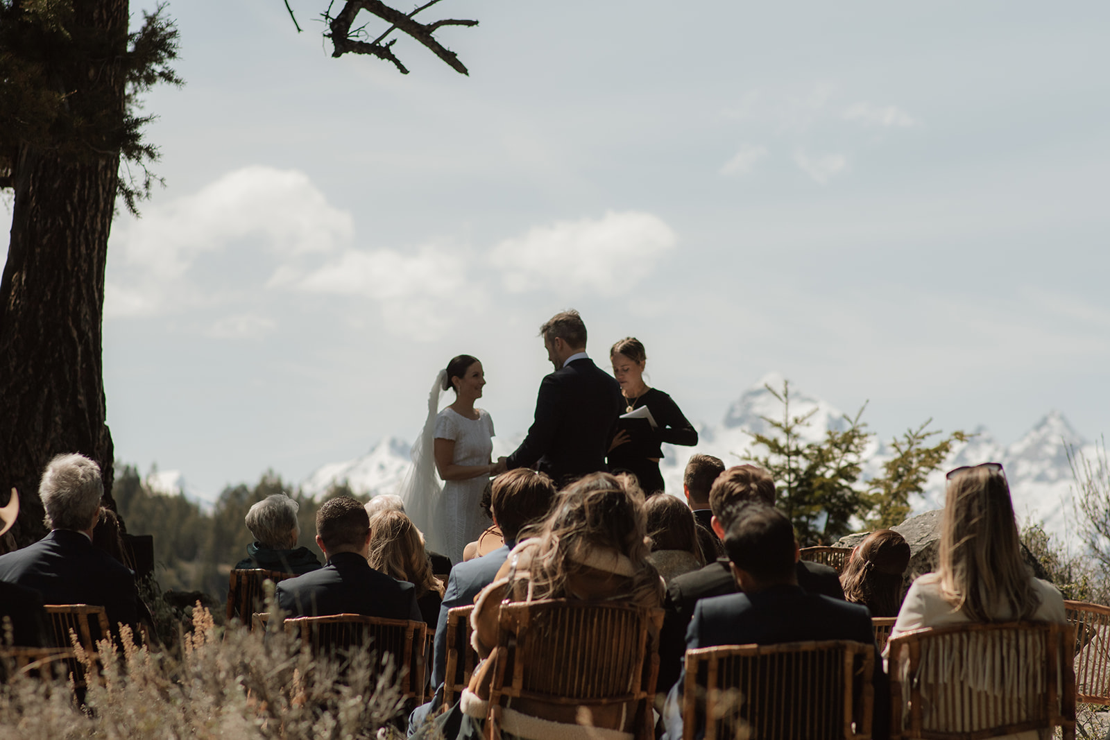 A wedding ceremony taking place outdoors, with a bride and groom standing in front of a large tree as an officiant reads from a book at the wedding tree in Jackson Hole