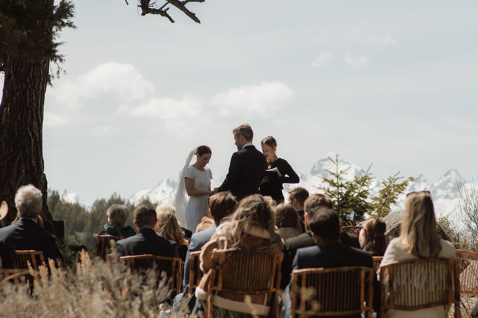 A wedding ceremony taking place outdoors, with a bride and groom standing in front of a large tree as an officiant reads from a book at the wedding tree in Jackson Hole