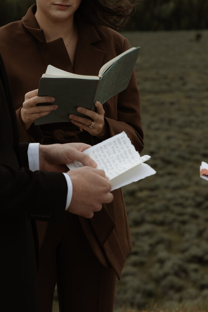 A couple stands facing each other holding hands during a wedding ceremony outdoors, with a person in the middle reading from a book. Snow-capped mountains are visible in the background for their elopment at Glacier View Turnout