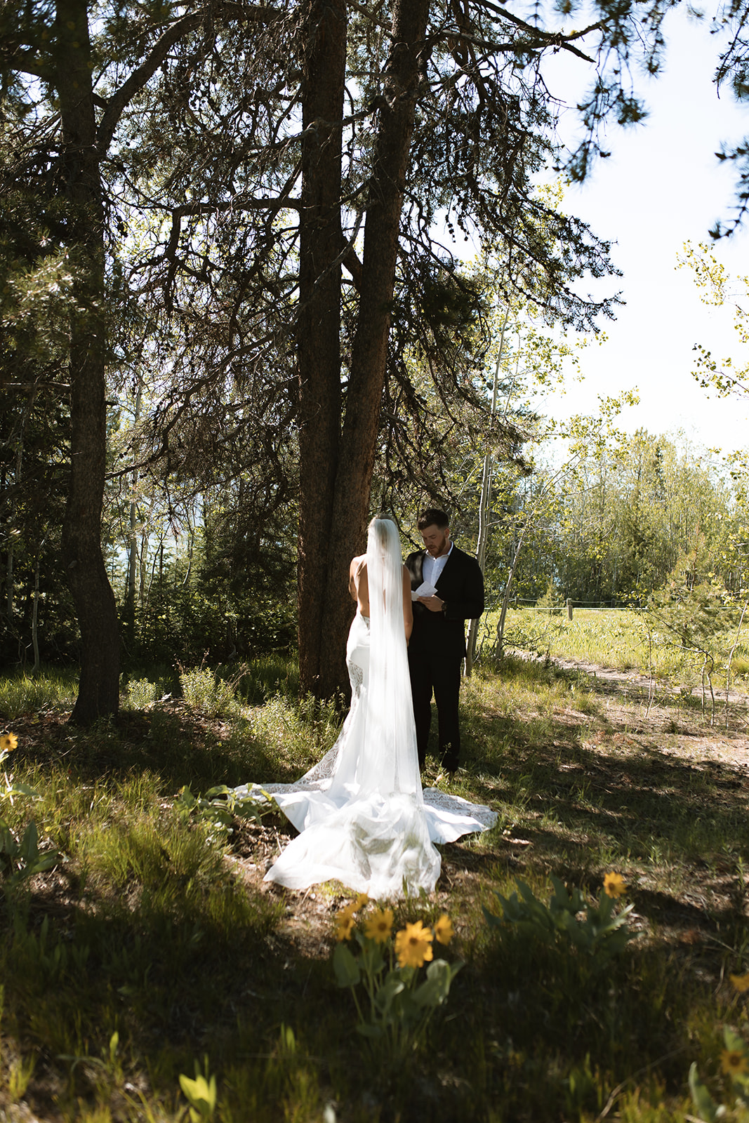 A bride and groom stand outdoors by a tree. The groom, in a black suit, reads from a piece of paper while the bride, in a white dress with a long veil, stands facing him at their JACKSON HOLE ELOPEMENT at Colter Bay