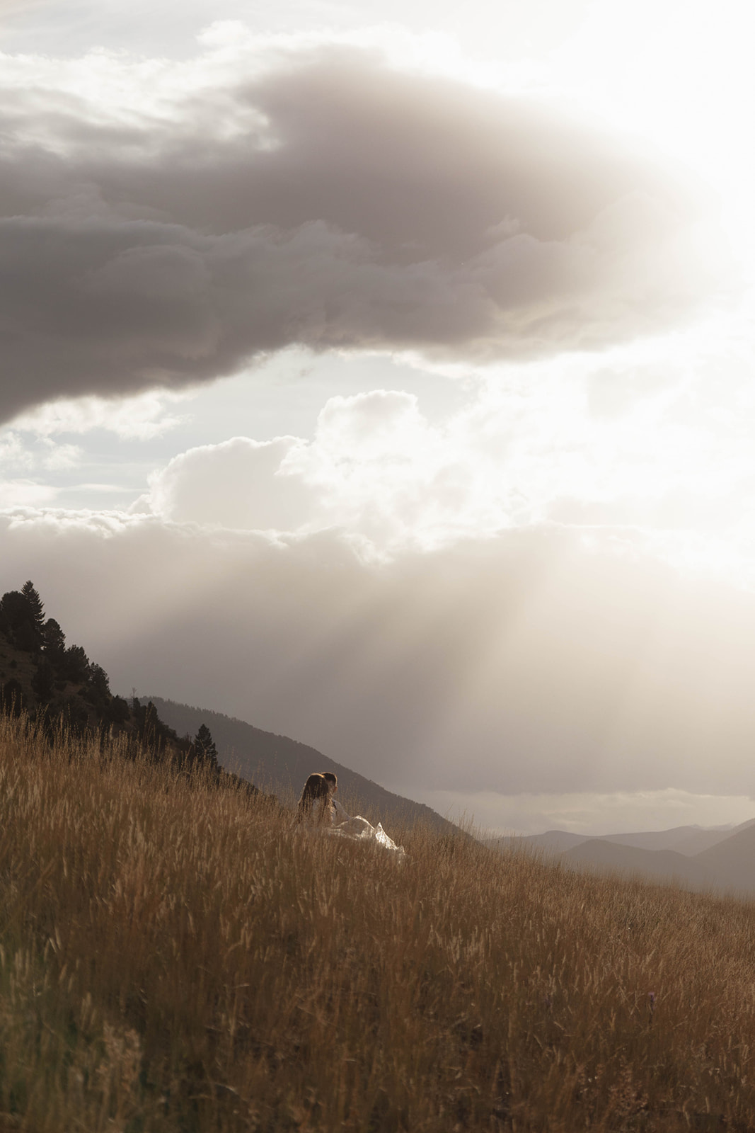 A couple in wedding attire stands in a field under a cloudy sky with a rainbow in the background.